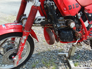 CIMG0335.JPG