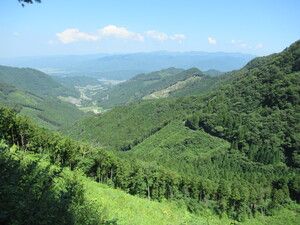 IMG_2298.JPG